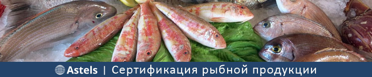 Сертификация рыбной продукции